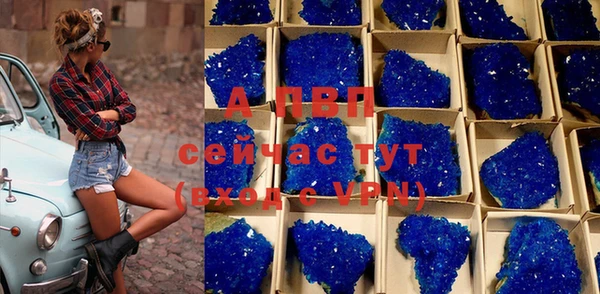 прущая мука Ельня
