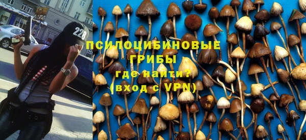 МДМА Заволжск