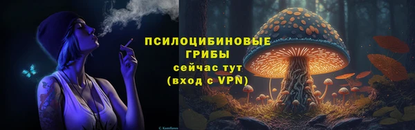 спиды Елабуга