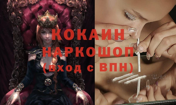 ECSTASY Елизово