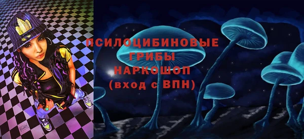 прущая мука Ельня