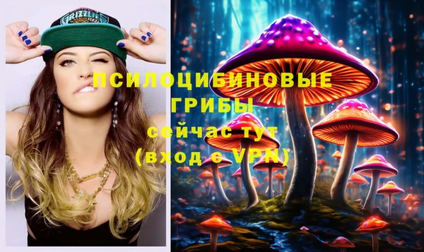 спиды Елабуга